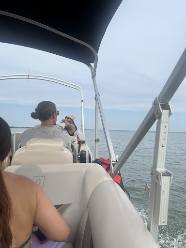 Photo from customer review