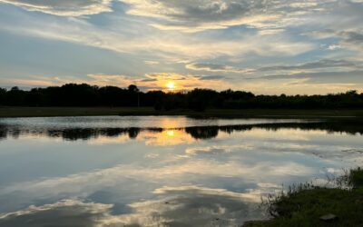 Lake Lewisville: The Best Spot in North Texas for Double-Deckers, Party Boats, Pontoon Boats & Yachts