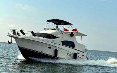 When Is the Best Time to Boat on Lake Lewisville? A Seasonal Breakdown